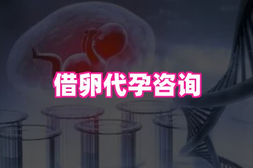 杭州助孕网站 1