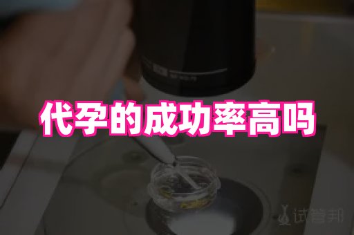 杭州助孕网站 2